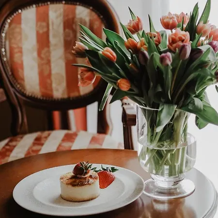 Delfin Spa&wellness מלון 4*