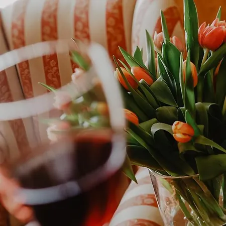 Delfin Spa&wellness מלון דומבקי