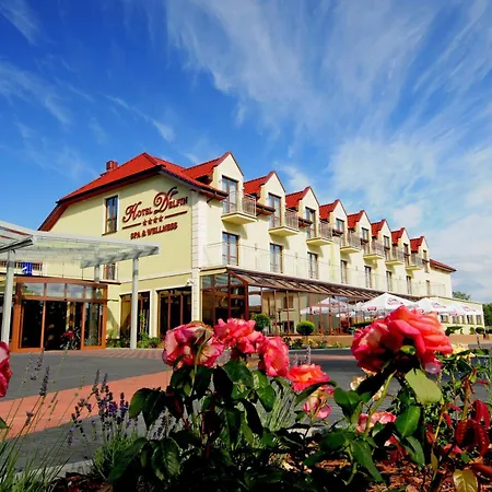 Delfin Spa&wellness 4* דומבקי