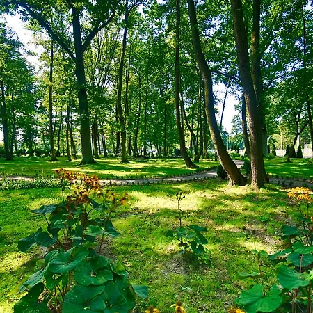 Hotel Delfin Spa&wellness Dąbki