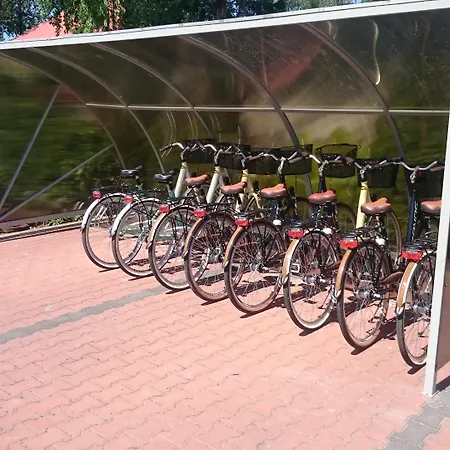 Delfin Spa&wellness מלון דומבקי