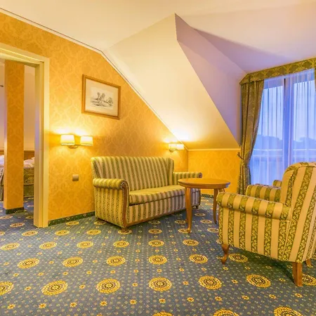 Delfin Spa&wellness Hotel