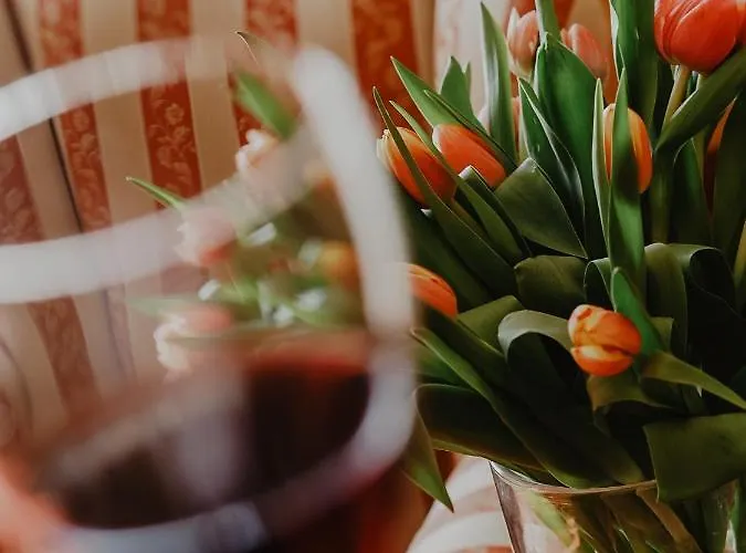 Delfin Spa&wellness Hotel Dąbki