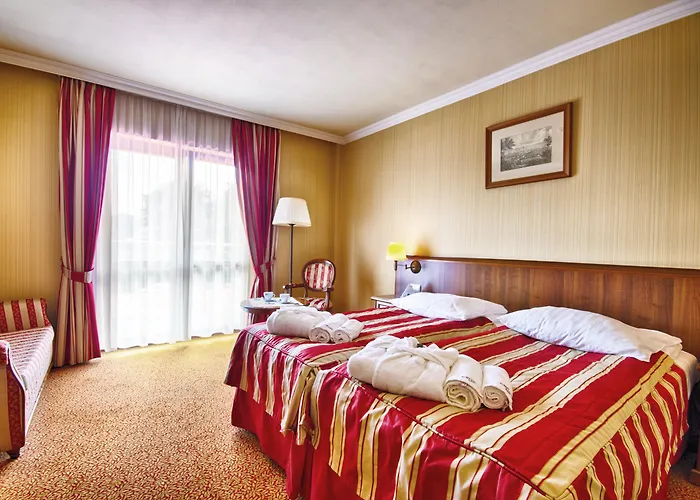 Delfin Spa&wellness Hotel 4*