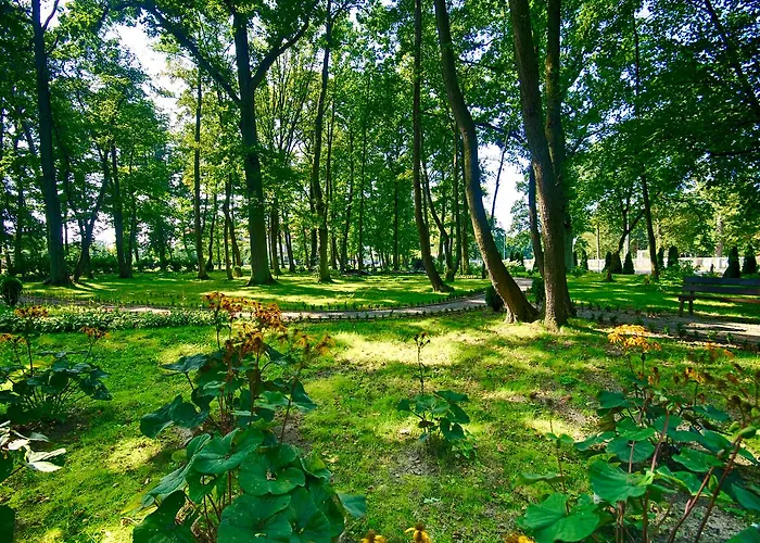 Hotel Delfin Spa&wellness Dąbki