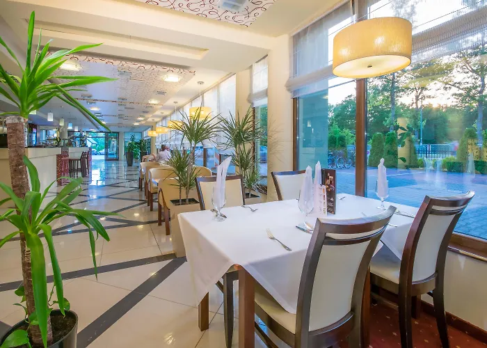 Delfin Spa&wellness Hotel