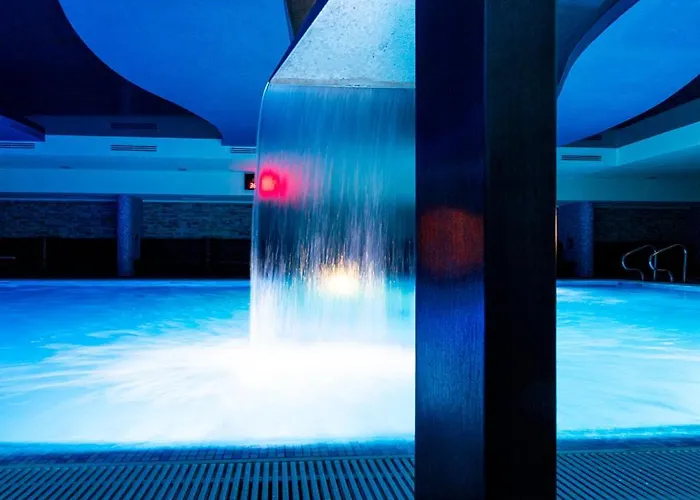 Delfin Spa&wellness Hotel 4*