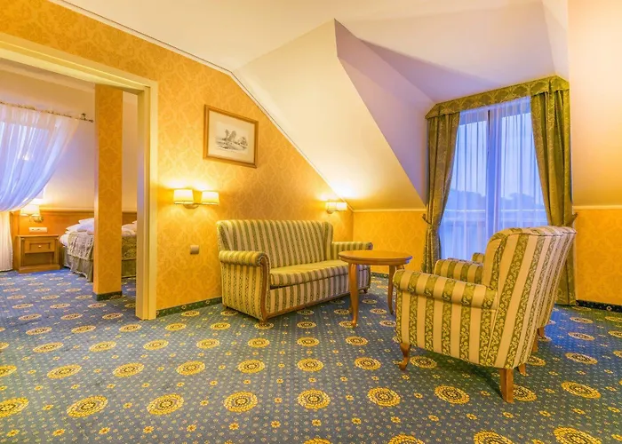 Delfin Spa&wellness Hotel